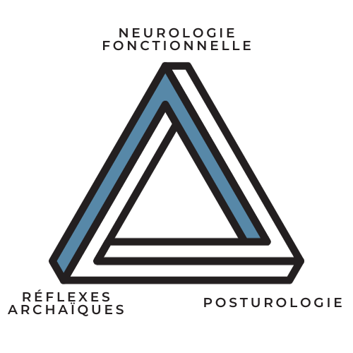 Triangle reprogrammation neuro-posturale